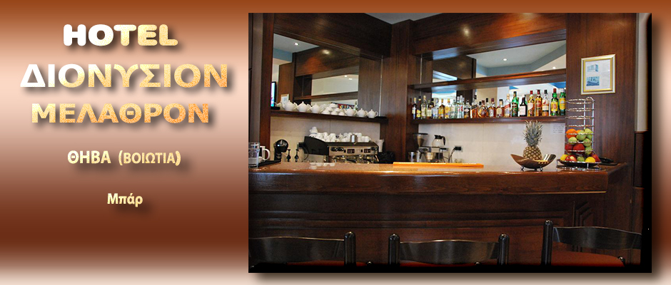 HOTEL DIONYSION - Bar