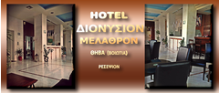 HOTEL DIONYSION - Reception