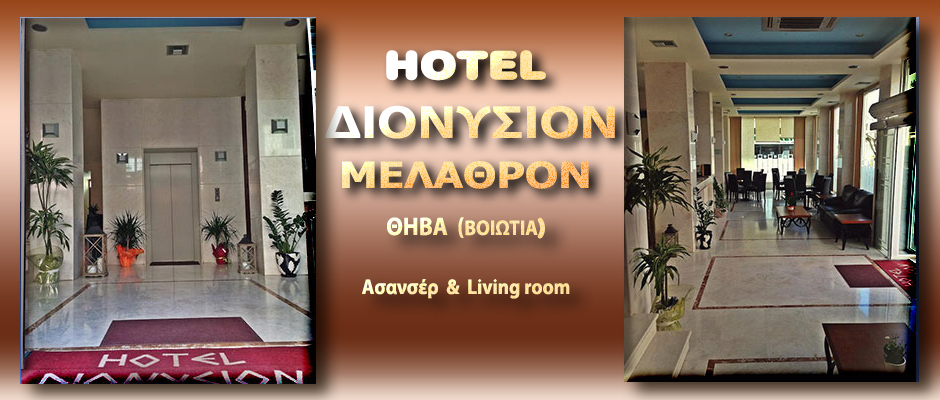 HOTEL DIONYSION - asanser and living room