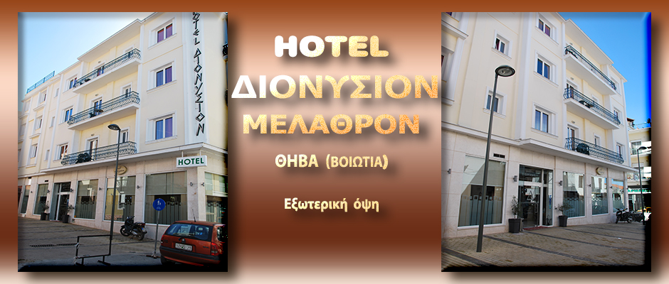 HOTEL DIONYSION - eksoteriki opsi