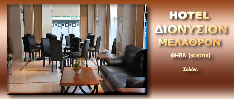 HOTEL DIONYSION - saloni