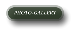 PHOTO-GALLERY
